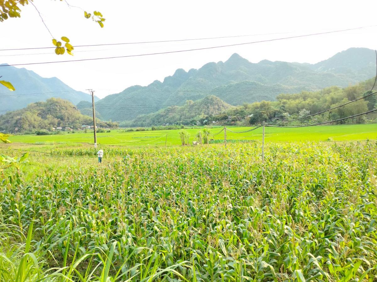 Truong Huy Homestay Mai Chau Eksteriør bilde