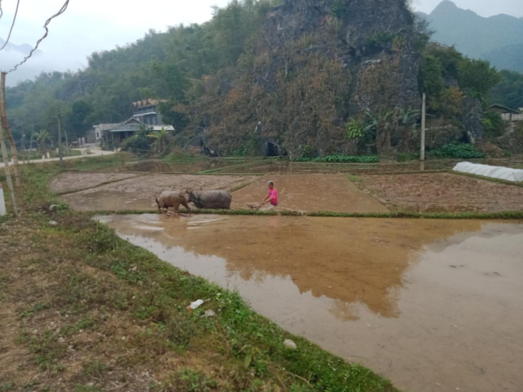 Truong Huy Homestay Mai Chau Eksteriør bilde